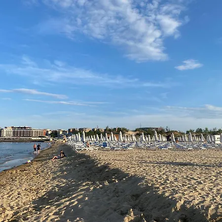 Sapphire 202 Sunny *