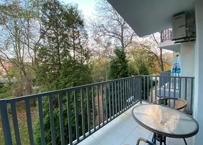 Sapphire 202 Sunny Slantchev Briag