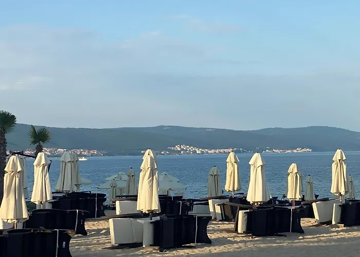 Sapphire 202 Sunny * Slantchev Briag